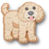 ‘B’golden Doodle Puppy Jibbitz-skovedhæng’