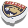 Nhl® Florida Panthers Jibbitz™-vedhæng